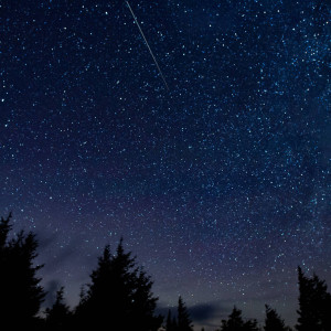 Perseid Meteor Shower