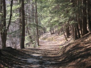 West Rattlesnake Hiking Trail