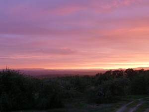 Hackleboro Orchards Sunset