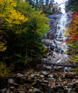 Arethusa Falls hiking trail Arethusa Falls hiking trail
