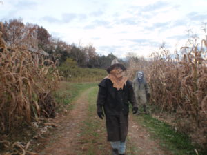 Haunted Corn Maze