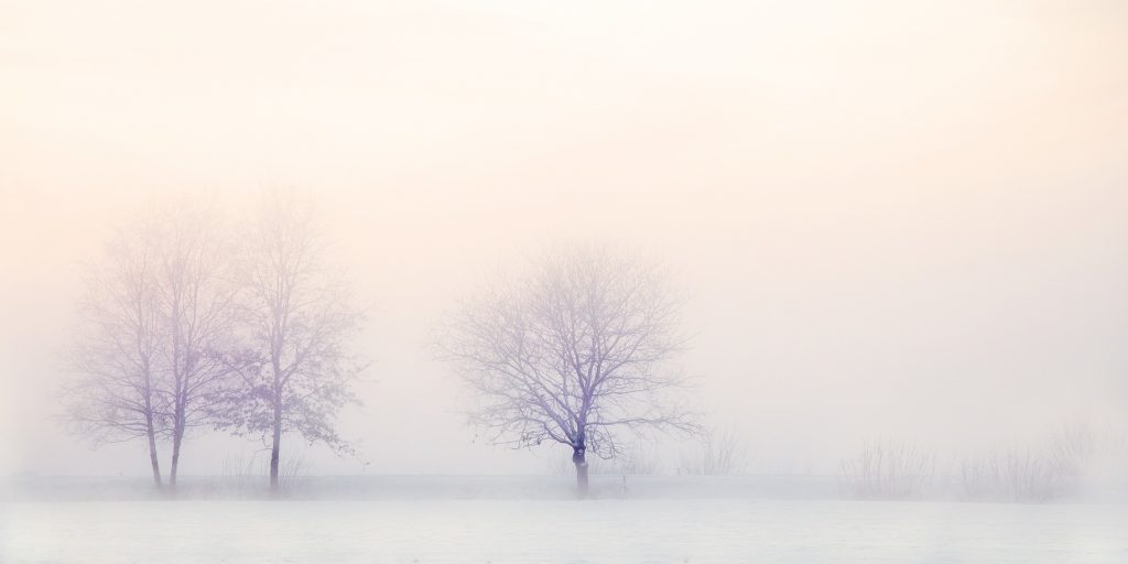 Beautiful Winter Landscape