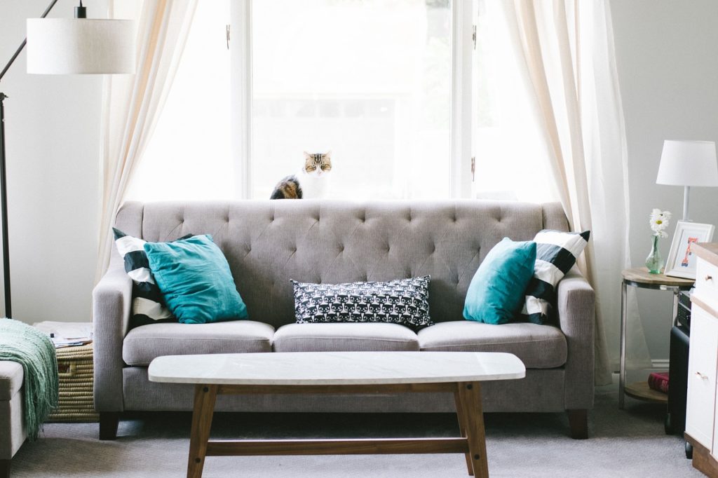 Grey couch with teal pillows