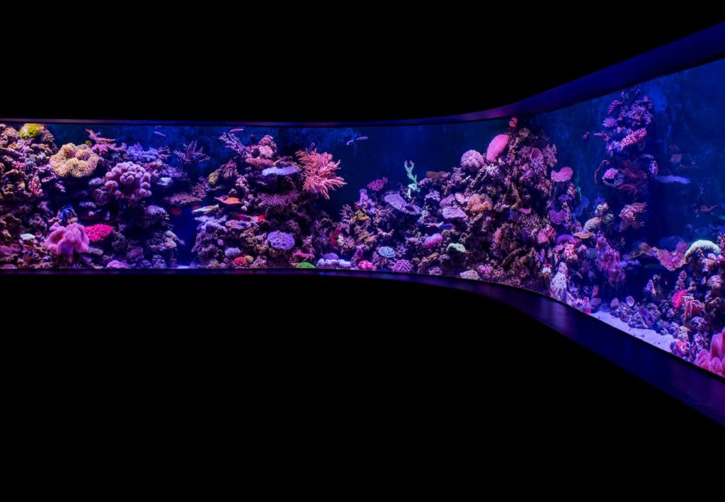 Large aquarium