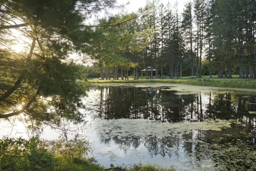 Benson Park in Hudson, NH