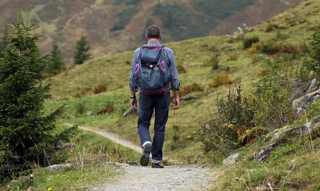 Person walking a path